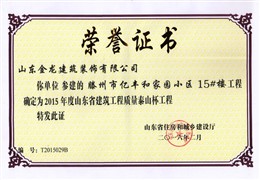 泰山杯工程-亿丰和家园