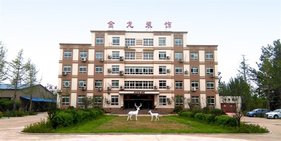 山东金龙装饰