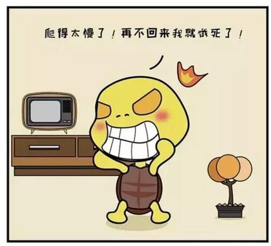 学校精装修专业企业&mdash;&mdash;金龙装饰董事长金军先生携全体员工祝大家端午节祥瑞安康~