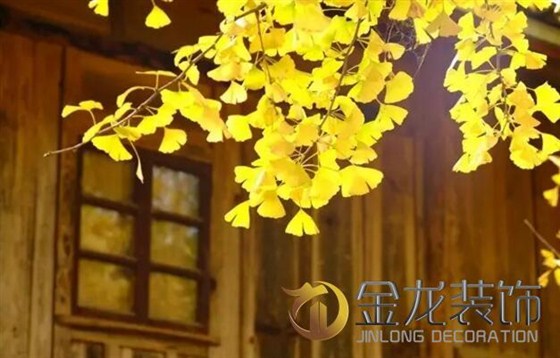 景观设计施工专家金龙装饰分享：关于植物的五行及风水学。