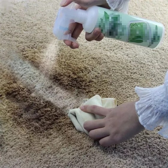 想铺地毯看过来，先看看地毯的种类吧！