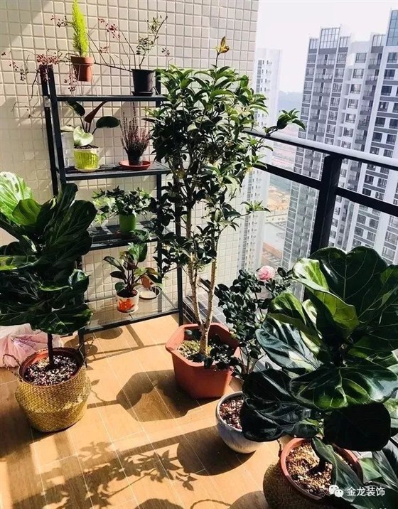阳台要贴瓷砖，记住一定要这样贴 . . .