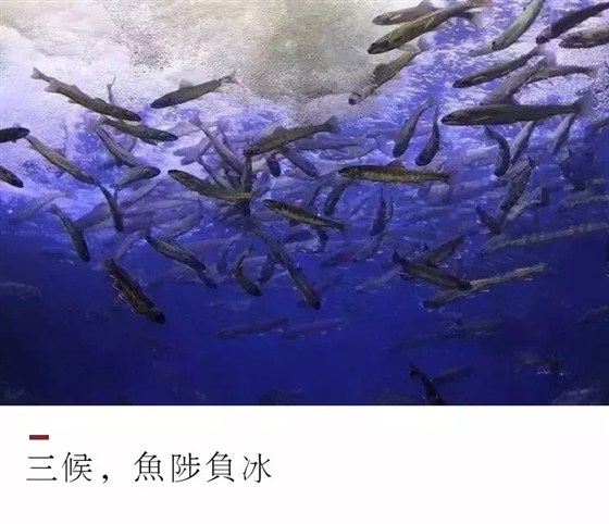 20180205_153938_007