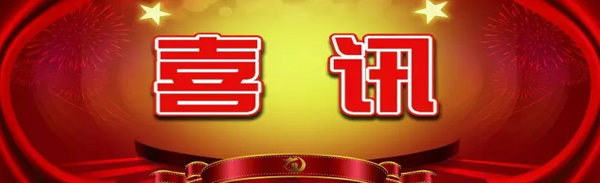 【喜讯】金龙装饰再次荣获