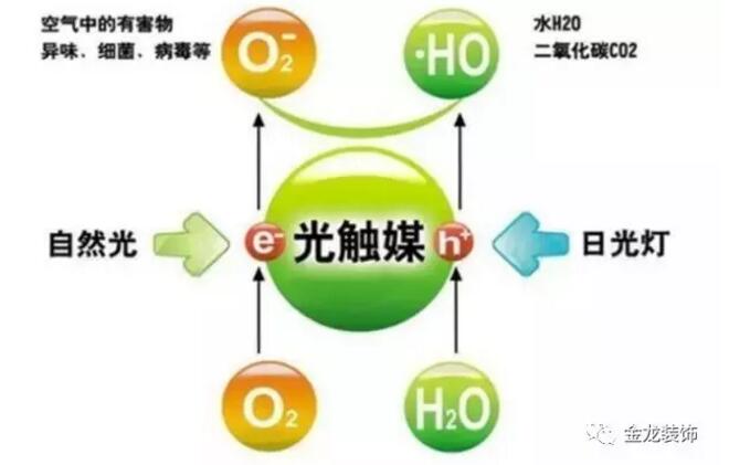 金龙装饰今天为您仔细扒一扒这个&ldquo;家装神药&rdquo;&mdash;&mdash;硅藻泥。