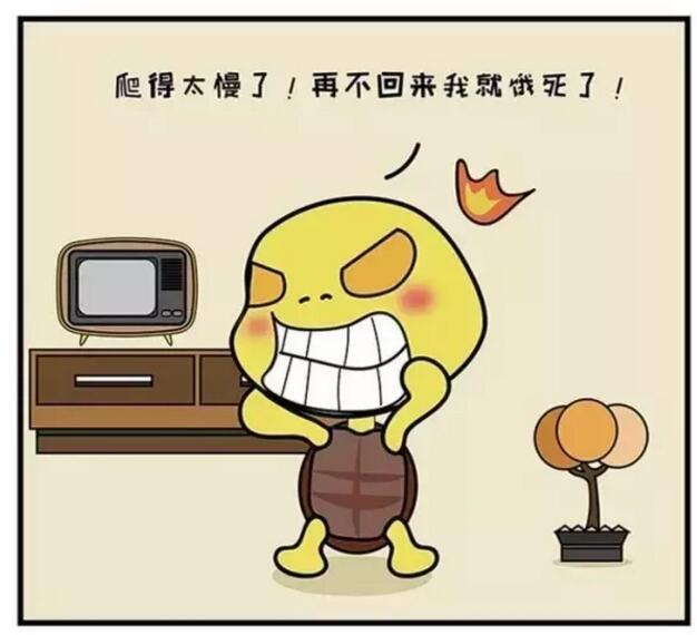学校精装修专业企业&mdash;&mdash;金龙装饰董事长金军先生携全体员工祝大家端午节祥瑞安康~