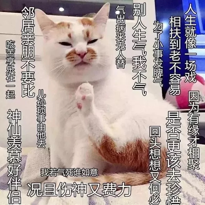 &ldquo;佛系&rdquo;装修？? 金龙装饰劝亲们还是趁早还俗吧！