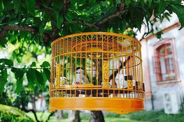 金龙装饰：中国的四合院，才是真正的豪宅！