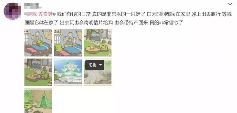 金龙装饰：旅行青蛙过年回家!
